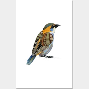 House Sparrow Posters and Art